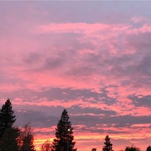 Meet your Posher, Alyxx